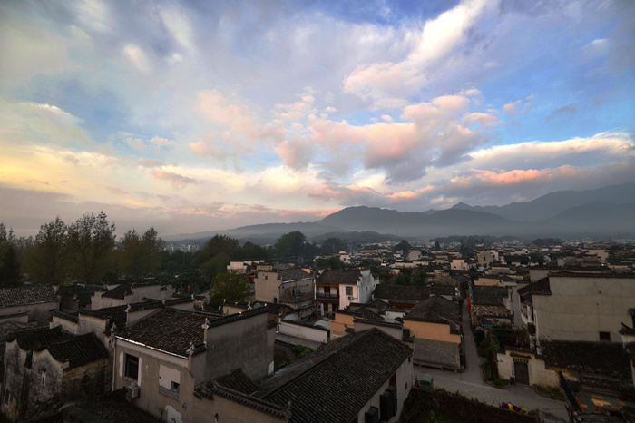 林荫小路 房地产 住宅区 环境 别墅 商业中心