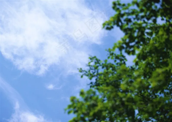 森林的树缝穿过的光美丽的jpg素材