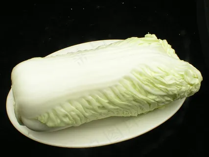 大白菜    大白菜