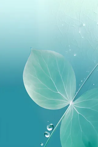 树叶露珠青色大气意境背景