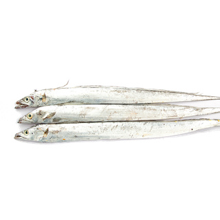 鱼类(92)海鲜超市商品红酒白底图免抠实物摄影png格式图片透明底