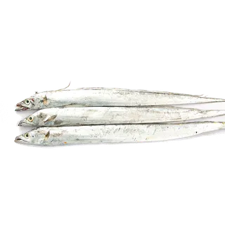 鱼类(92)海鲜超市商品红酒白底图免抠实物摄影png格式图片透明底