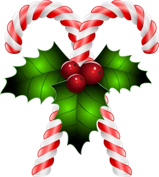 拐杖叶子果实圣诞节