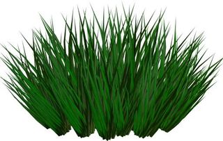 草地PNG图片免抠