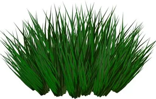 草地PNG图片免抠