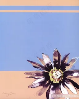 花朵花瓣艺术插画