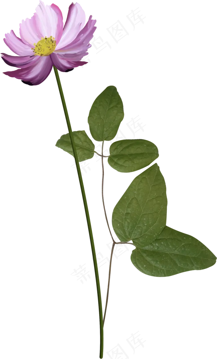 一枝小花一