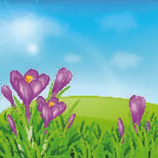 欢迎春天到花开风景