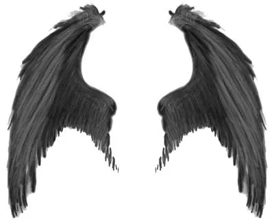 翅膀 PNG免抠(400x324)
