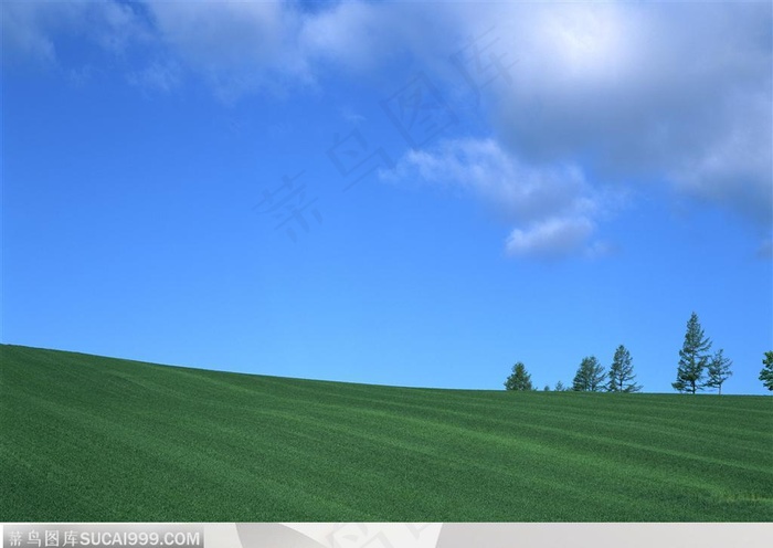 美丽天空-蓝天下漂亮的草地