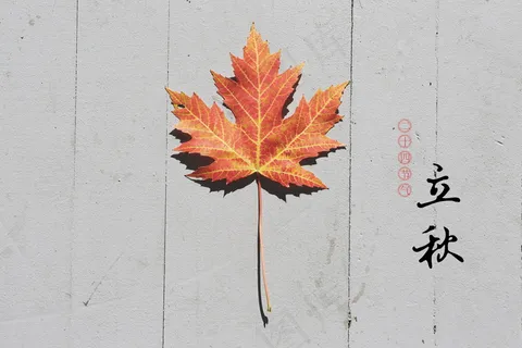 2018立秋节气图片 2018立秋节气图片