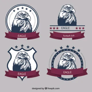 免抠白头海雕标签矢量