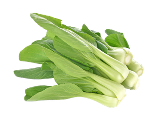 上海青 (13)超市商品白底图免抠实物摄影png格式图片透明底