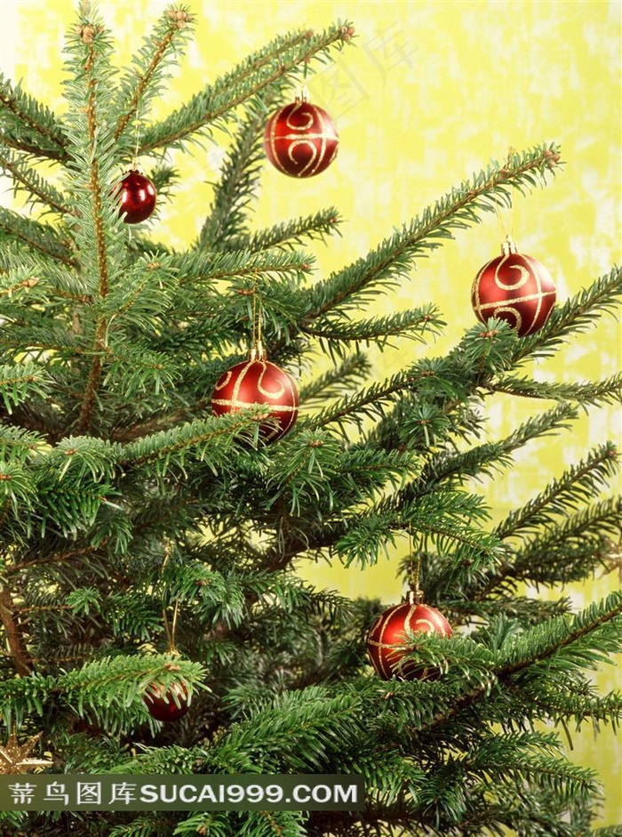 圣诞树上的圣诞球图片素材
