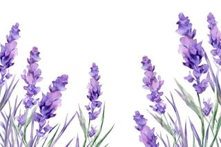 紫色花束植物插画免抠