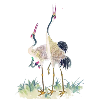 复古风手绘水彩墨画仙鹤透明免扣素材