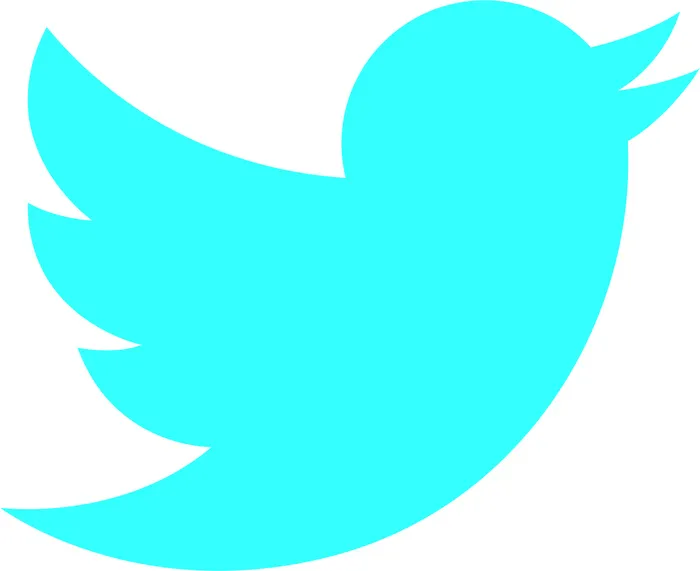 推特Twit图标cdr矢量模版下载