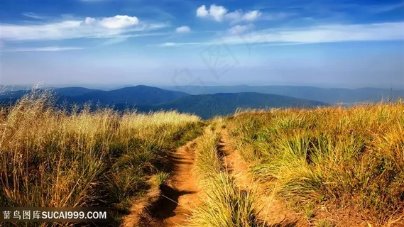 草地小道风景画壁纸 草地小道风景画壁纸