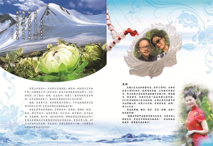 天山上的雪莲花