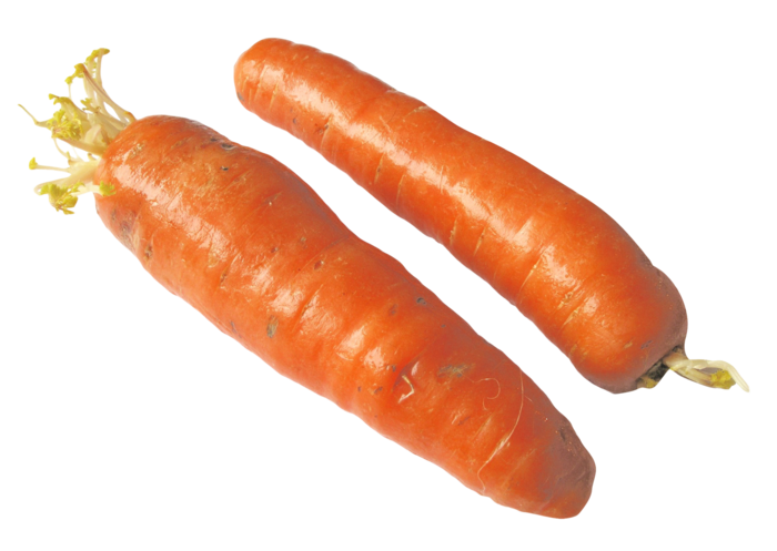 萝卜两根蔬菜