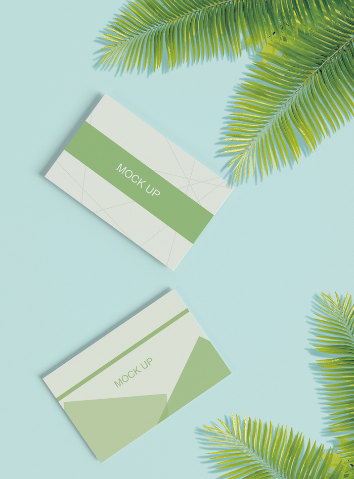 高端大气商务名片样机