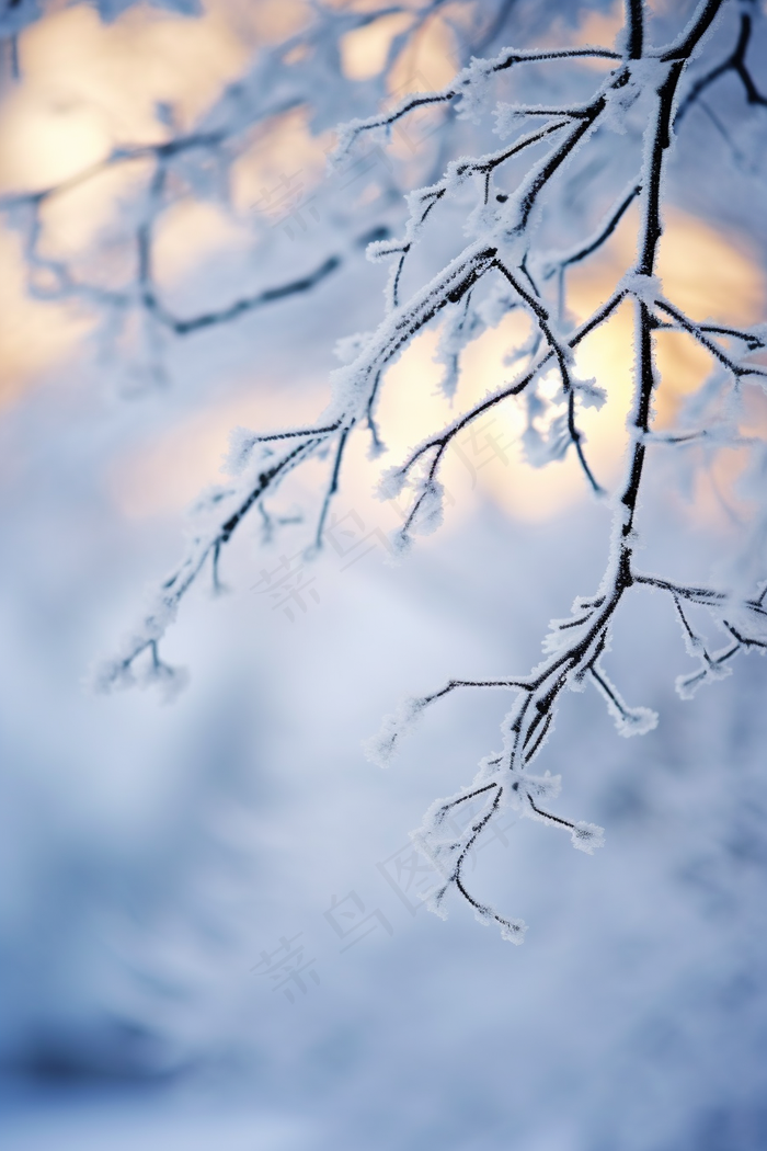 冬季阳光下的雪景雾凇树枝摄影图(2688x4032)