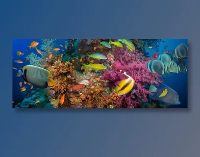 美丽的海底世界景观大图