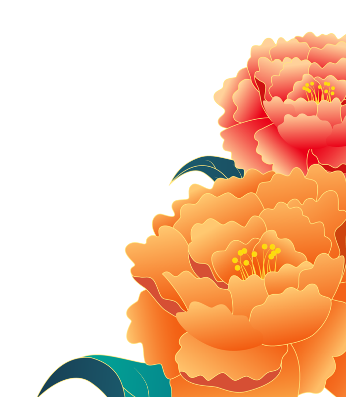 牡丹花 国花 花朵素材