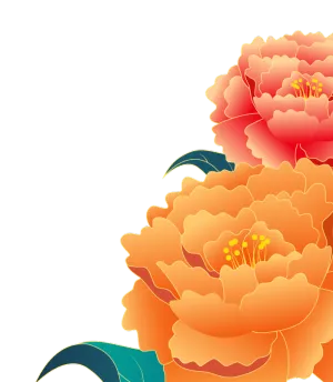 牡丹花 国花 花朵素材