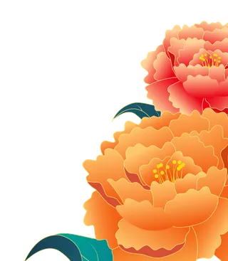 牡丹花 国花 花朵素材