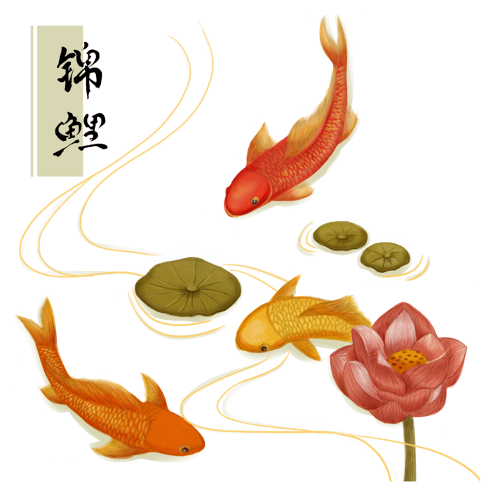 锦鲤 (40)