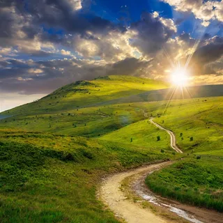 唯美的树林道路景色 唯美的树林道路景色
