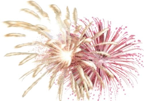烟花 PNG免抠