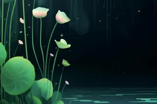 国风夜晚荷花荷叶大气背景