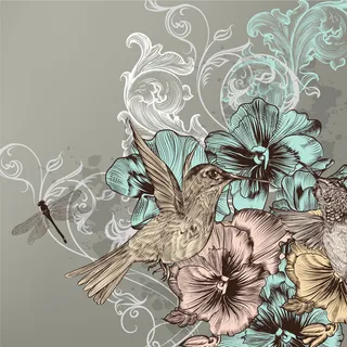 手绘 插画鸟 画眉鸟