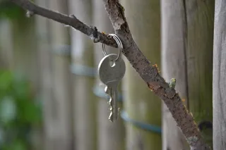 树枝上的钥匙图片