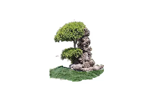 树免抠素材 树免抠素材