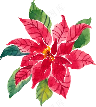 冬季圣诞节花卉果花圈植物免抠海报PNG素材