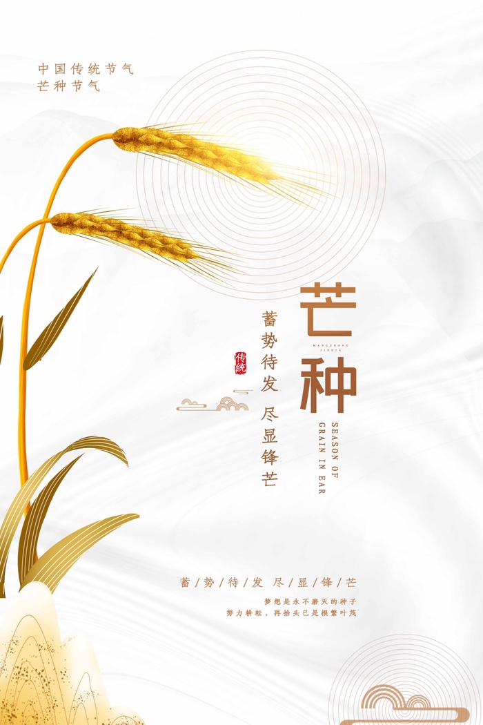 芒种 芒种宣传促销psd模版下载