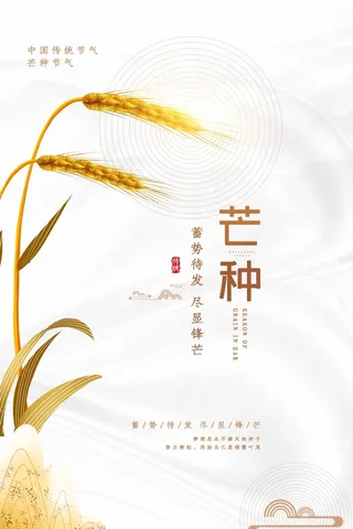 芒种 芒种宣传促销