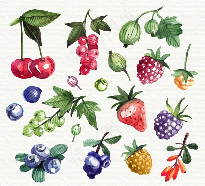 17款水彩绘新鲜水果矢量素材
