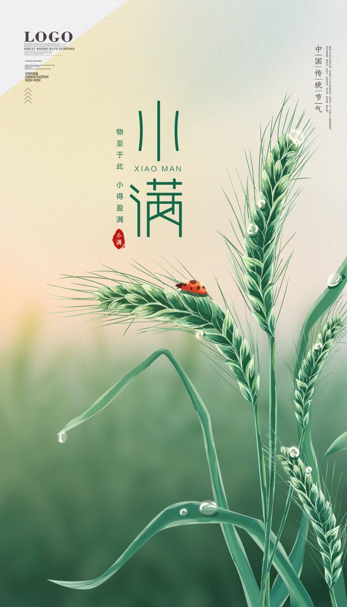 小满 小满促销海报psd模版下载