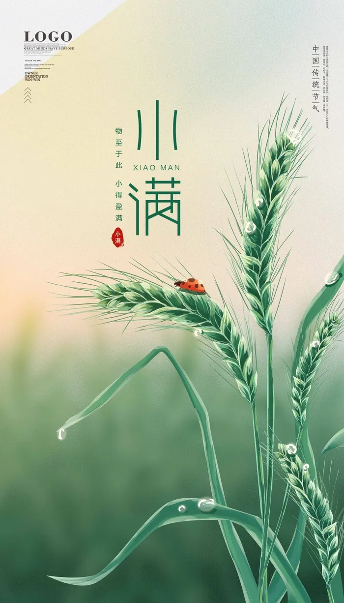小满 小满促销海报psd模版下载