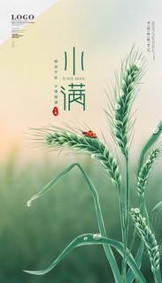 小满 小满促销海报