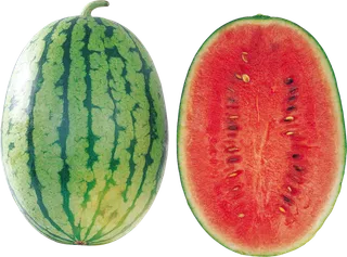 西瓜实物图免抠