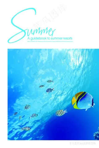 唯美海底游鱼装饰画