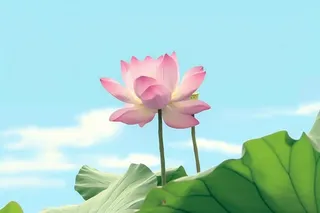 清新阳光荷花荷叶天空白云背景