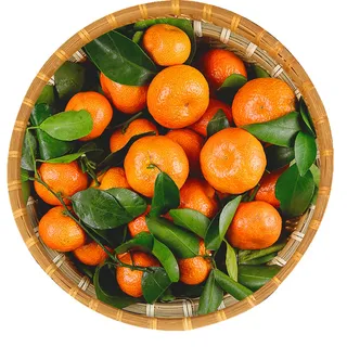 砂糖橘水果超市商品白底图免抠实物摄影png格式图片透明底