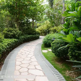热带植物园里的铺石路摄影图片 热带植物园里的铺石路摄影图片