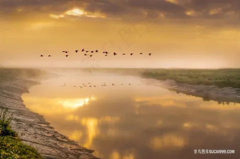 夕阳下飞翔的群鸟风景摄影图片 夕阳下飞翔的群鸟风景摄影图片